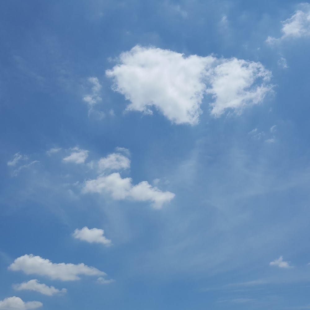 Meet your Posher, Ray